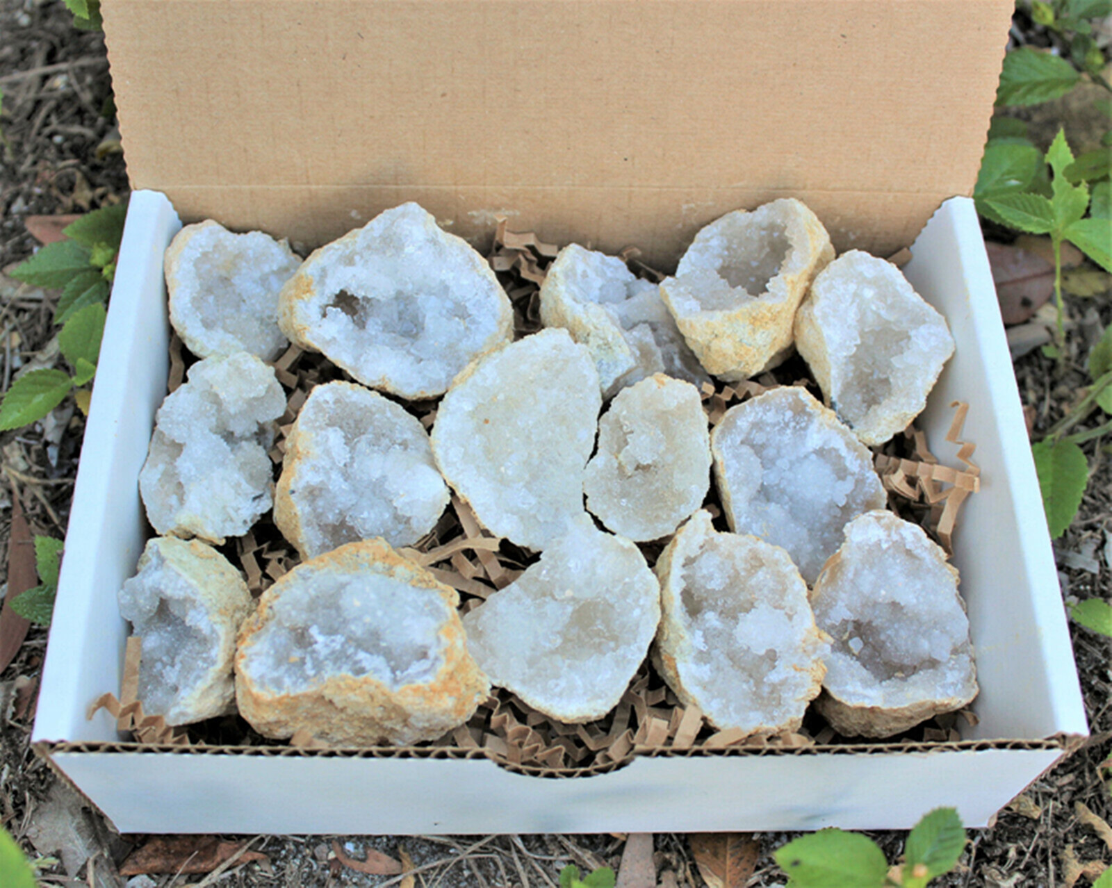 Large Unopened Moroccan Crysta – обзор и цена Geode Crystal Break